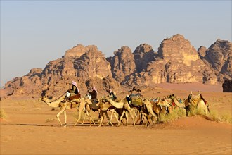 Bedouins with Camel Caravane at Wadi Rum