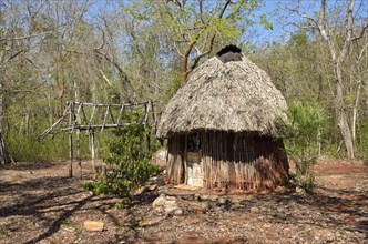 Hut with palm roof as a storage room