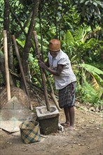 Woman pounding rice