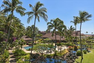 Hotel resort with pool and palm trees