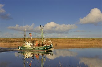 Shrimp boat reflected in water