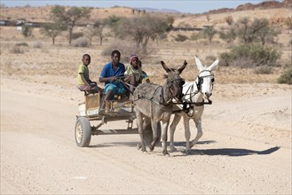 Children on donkey cart