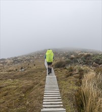 Hiker in mist