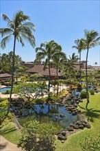 Hotel resort with pool and palm trees