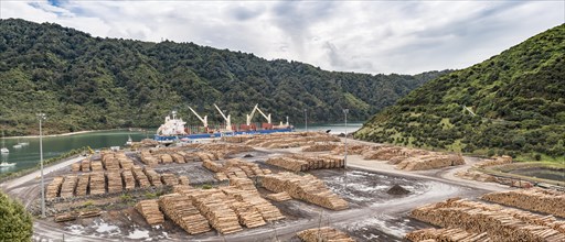 Wood stored in port