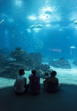 People inside Lisbon Oceanarium