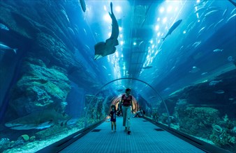Dubai Aquarium and Underwater Zoo