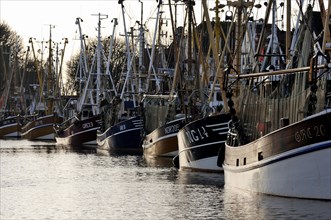 Crab cutters in the harbor of Greetsiel