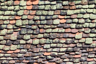 Mossy roof tiles
