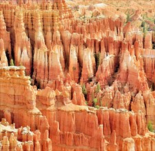 Red eroded limestone columns