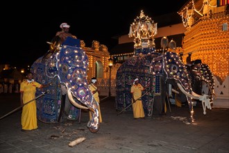 Decorated elephants