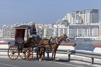 Horse carriage in front of Panorama of Sliema