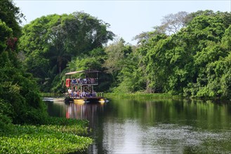 Cruise ship on a waterway through dense vegetation