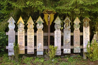 Dead Boards near Arnbruck in Lower Bavaria