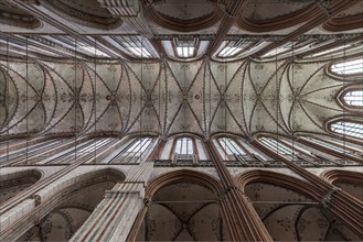 Ceiling vaults of St. Marienkirche