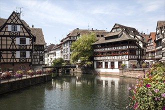 Half-timbered houses in historic old town