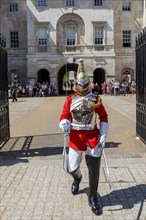 Soldier of the mounted regiment