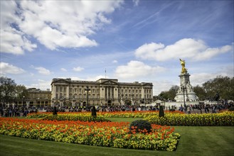 Buckingham Palace and Victoria Memorial