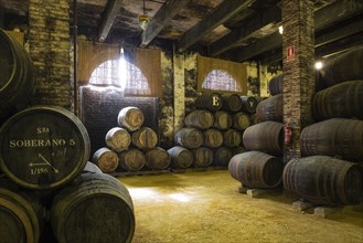 Stacked oak barrels in wine cellar