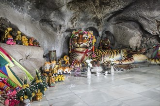 Worship of a tiger sculpture in the Tiger Cave