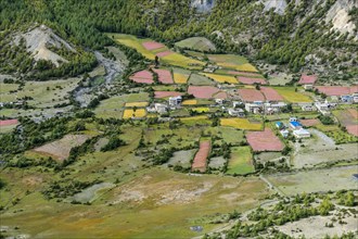 Agricultural landscape with blossoming pink buckwheat fields with Humde village