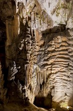 Caves of Postojna