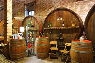 Barrels in cellar