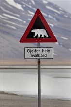 Icebear warning sign