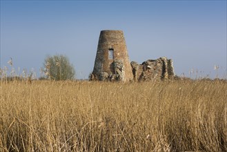 Ruins of a windmill