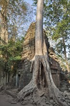 Ta Phrom temple