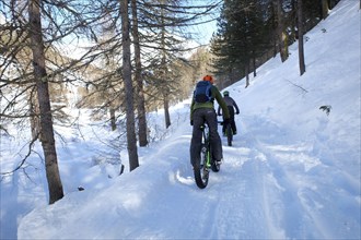 Mountainbiker with Fat Bike on snowy forest road