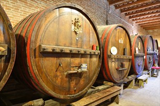 Barrels in cellar