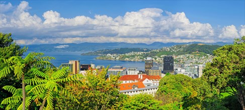 Panoramic view of Wellington