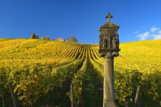 Shrine in vineyards in autumn