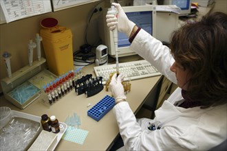 Lab technician splitting the blood samples for various analyzers