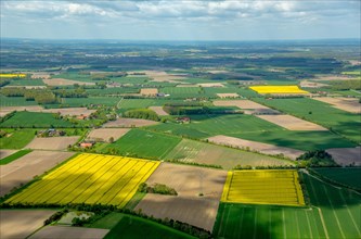 Farming fields and rape fields