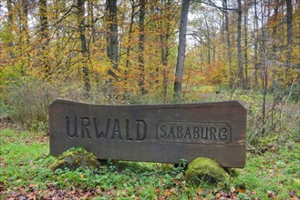 Shield Urwald Sababurg
