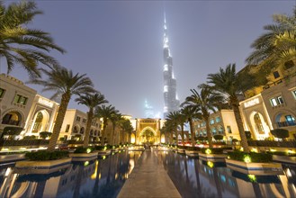 Palm trees and fountains