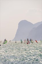 Many windsurfers with colourful sails