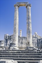 Columns of the Temple of Apollo