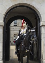 Rider of the Horse Guards