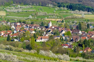 Village of Niedereggenen