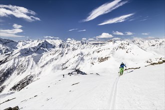 Ski tourer ascending the Monte Redival in Val Vermiglio