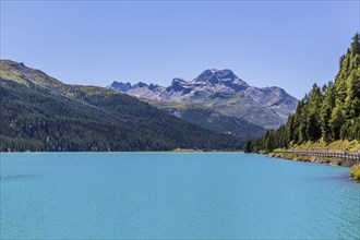 Silvaplana lake