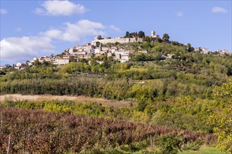 Townscape with vineyards