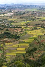 Landscape with rice fields in the surroundings of Antananarivo