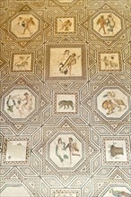 Roman Floor Mosaic