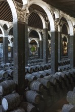 Stacked oak barrels in the wine cellar La Catedral