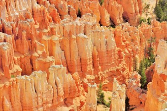 Red eroded limestone columns