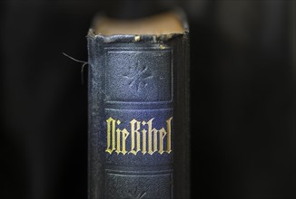 Spine of an old Bible